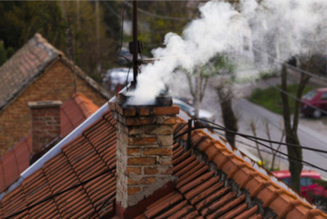 Animal Removal from Pipes and Chimneys - Chimney Cricket