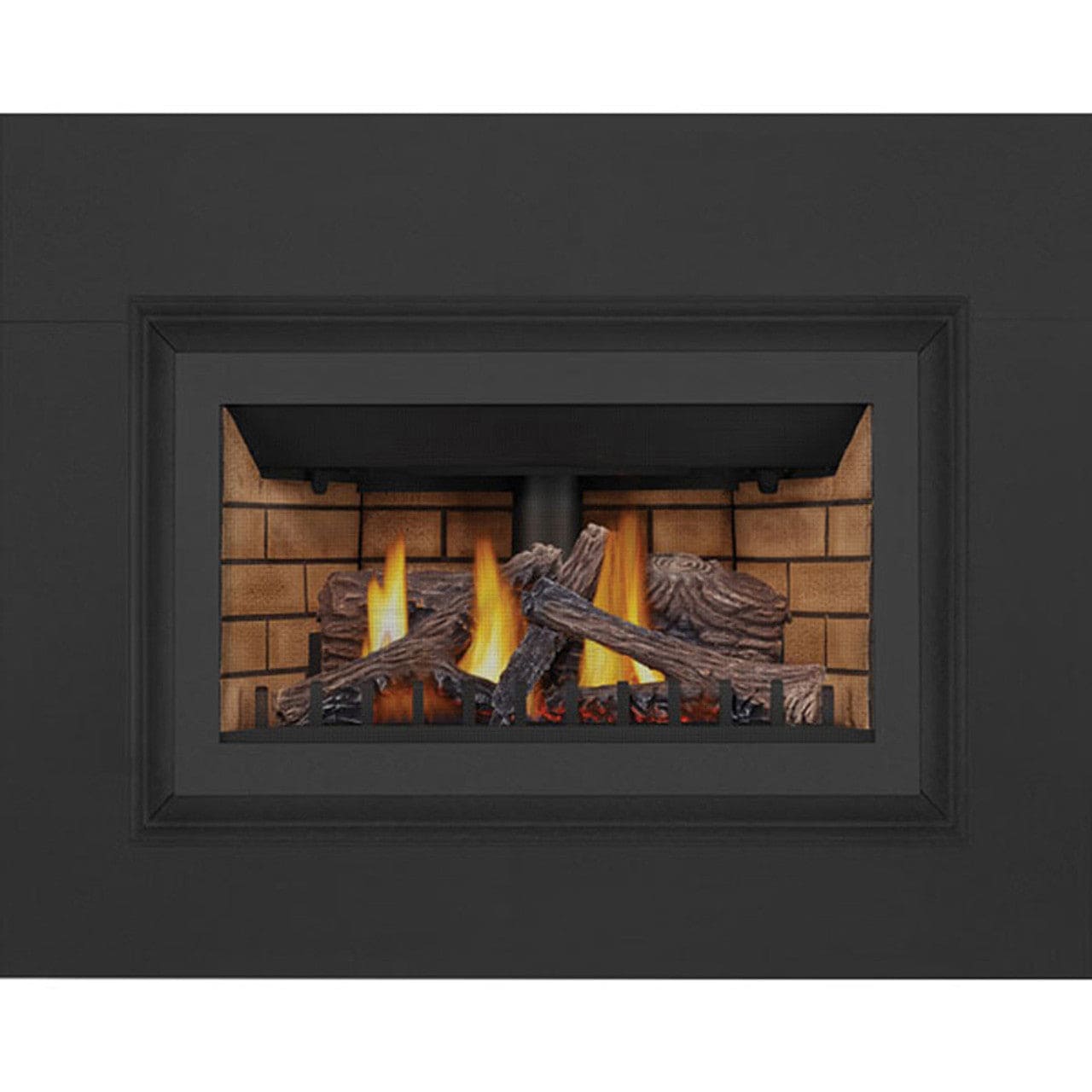 Napoleon INSPIRATION ZC Direct Vent Millivolt Ignition Natural Gas Fireplace Insert - GDIZC-NSB - Chimney Cricket