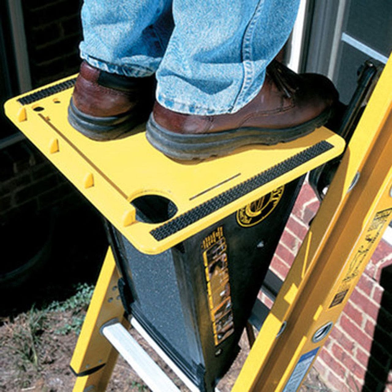 PiVit Platform - 29958 - Chimney Cricket