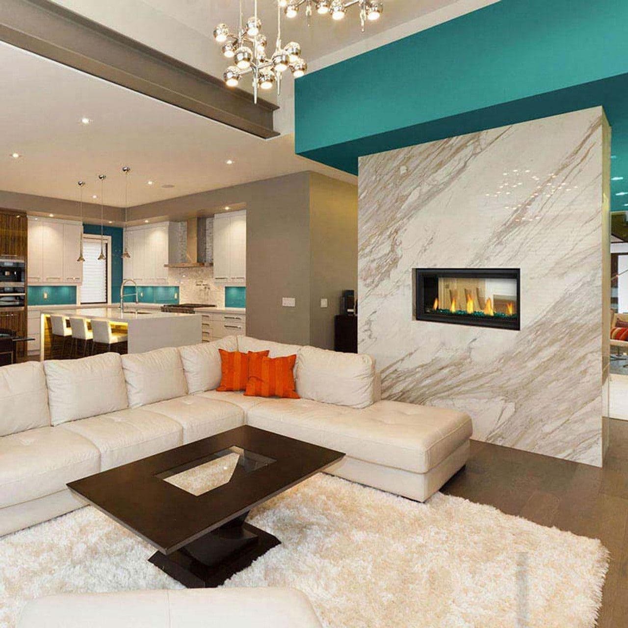 Napoleon Vector 38 See-Through Direct Vent Electronic Ignition Natural Gas Fireplace - LV38N2-1 - Chimney Cricket