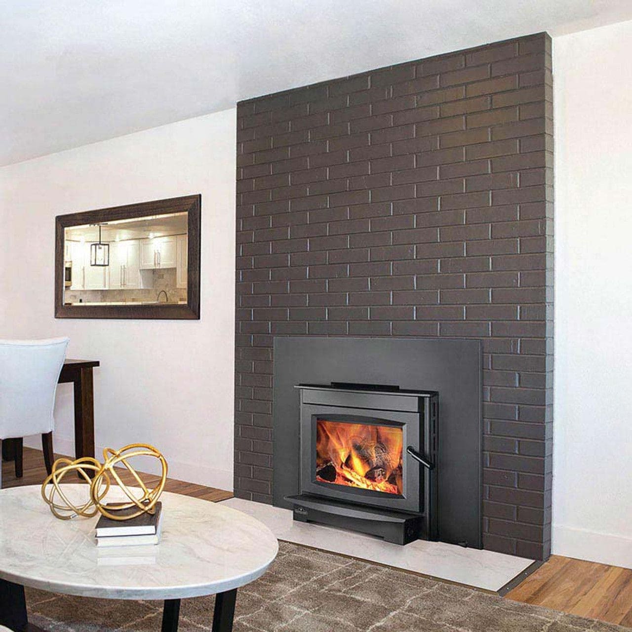 Napoleon Medium Cast-Iron Wood-Burning Charcoal Finish Fireplace Insert - S25I - Chimney Cricket