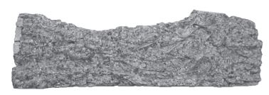 RHP 24" Chestnut Oak Log #2 for CN-24 - CNL24BF ** - Chimney Cricket