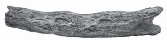 RHP 30" Coastal Driftwood BF Log - CDRL30BF - Chimney Cricket