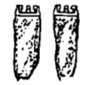 Package of 2 SOFT INVERTED MANTLES (AWM254) - Chimney Cricket