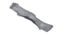 RHP 13" Charred Mountain Birch Log - CHMBWL13S - Chimney Cricket