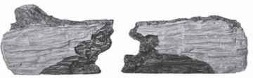 RHP 24" Charred Split Bottom Front Log - CHSL24BF ** - Chimney Cricket