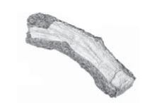 RHP 12" Charred Split Top Log - CHSL12T ** - Chimney Cricket
