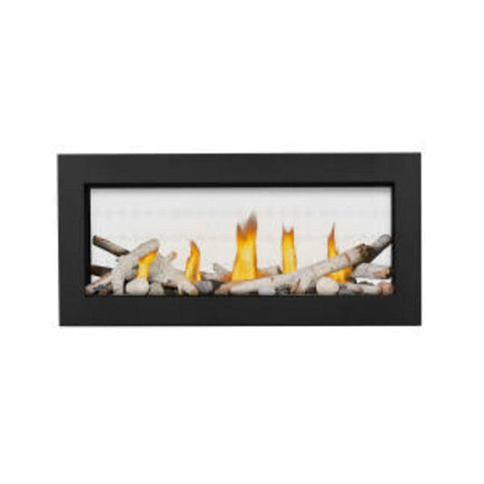 Napoleon Vector 38 See-Through Direct Vent Electronic Ignition Natural Gas Fireplace - LV38N2-1 - Chimney Cricket