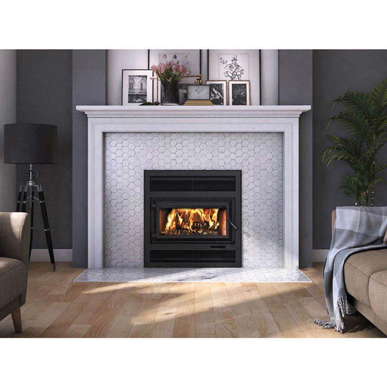 Large Sized Single Door Wood Burning Fireplace with 2200 Sq Ft Max Heating Space - HE250R - Chimney Cricket