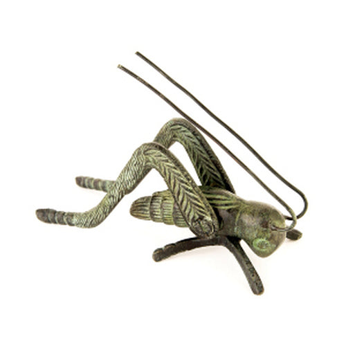 Verdigris Brass Hearth Cricket