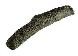 RHP 21" Oak Tree Branches - Chimney Cricket