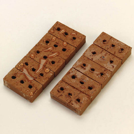 ChimneySaver Sample Demonstration Bricks (Set Of 10) - 300206 - Chimney Cricket
