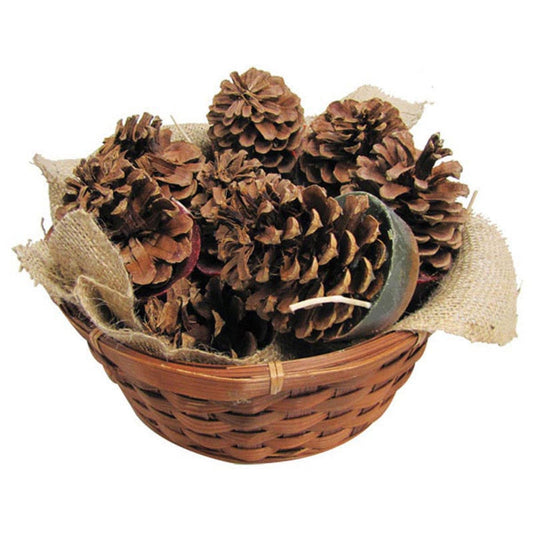 Cone Starter Willow Basket -10284 - Chimney Cricket