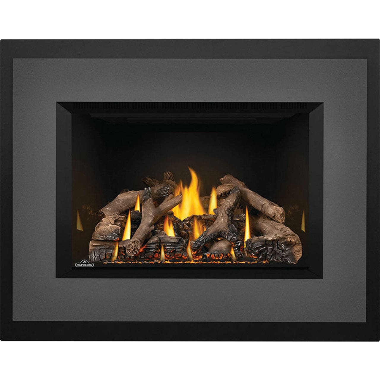 Napoleon OAKVILLE X4 Direct Vent Electronic Ignition Natural Gas Firebox Insert - GDIX4N - Chimney Cricket