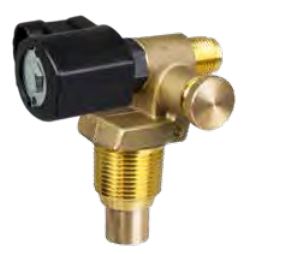 Cavagna Solenoid Service Valve Equipped with Excess Flow and Manual Shutoff Device Voltage: 12V - 73.0.390.0002 - Chimney Cricket