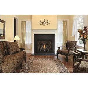 Tahoe DV Fireplace, Clean Face  Traditional, 32-in, IP, LP, 24K Btu  (Requires Barrier Screen, Log Set and Liner) (Sold Separately) - Chimney Cricket