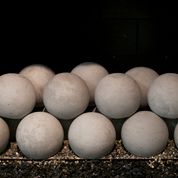 RHP 4" Graystone 24-Piece Fyre Spheres - Chimney Cricket