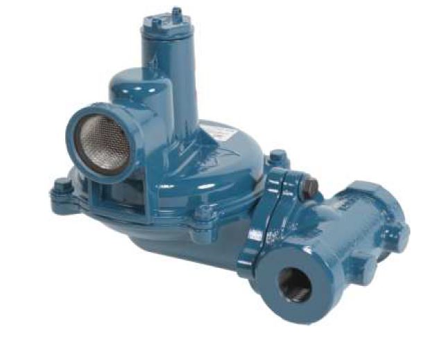 1-1/4" NPT, 6.5-16" WC TEE BODY LP OR NAT, 1/4 INCH ORIFICE - NGR02-DBA - Chimney Cricket