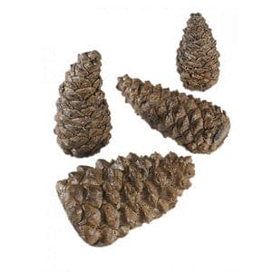 Wilderness Pine Cone - 4 pc single pack, PCW4 - Chimney Cricket