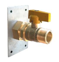 Special Term Plate with Direct Connect Valve (CS6) - Chimney Cricket