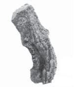 RHP 15" Foothill Oak - Top Log - FTOL15T ** - Chimney Cricket