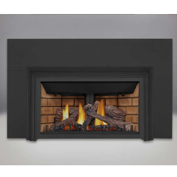 Napoleon GDIZC Direct Vent Gas Fireplace Insert