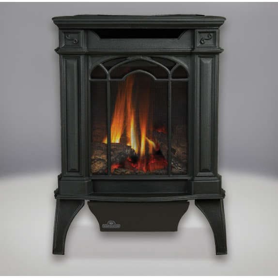 Direct Vent Gas Stove - Napoleon GDS20 Arlington