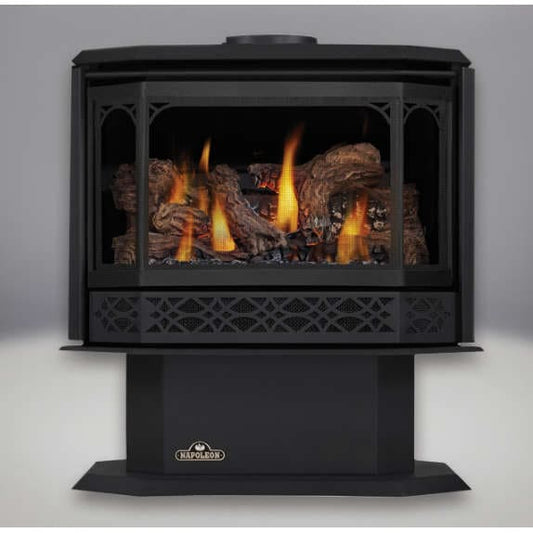 Direct Vent Gas Stove - Napoleon GDS50 Havelock