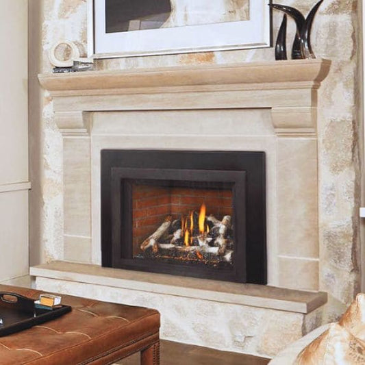 Napoleon Oakville X4 Gas Burning Fireplace Insert